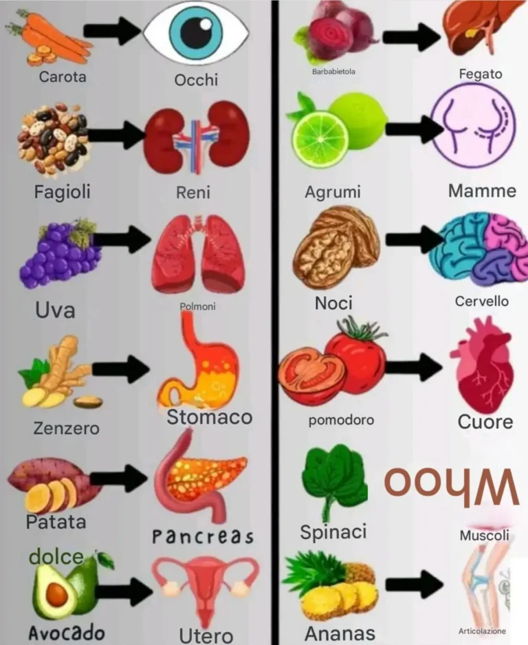Alimenti sani che curano: Mangia per il corpo che ami