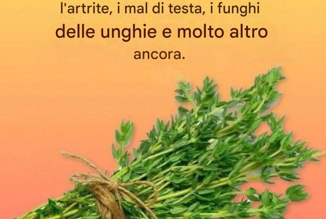 Un rimedio naturale contro parassiti e infezioni del tratto urinario