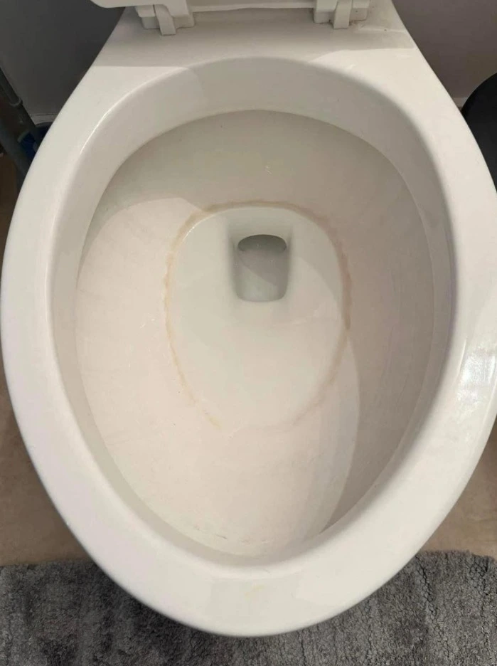 Cómo eliminar manchas de agua dura del inodoro sin productos químicos agresivos