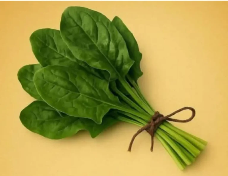 Alimenti che aiutano a depurare il corpo