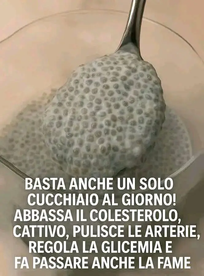 Semi di chia 10 motivi utili per includerli più spesso nella tua dieta