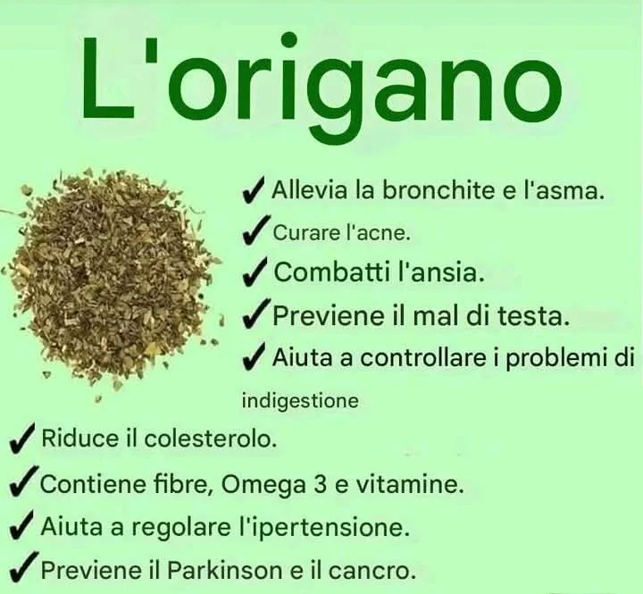 Se hai questa pianta in casa