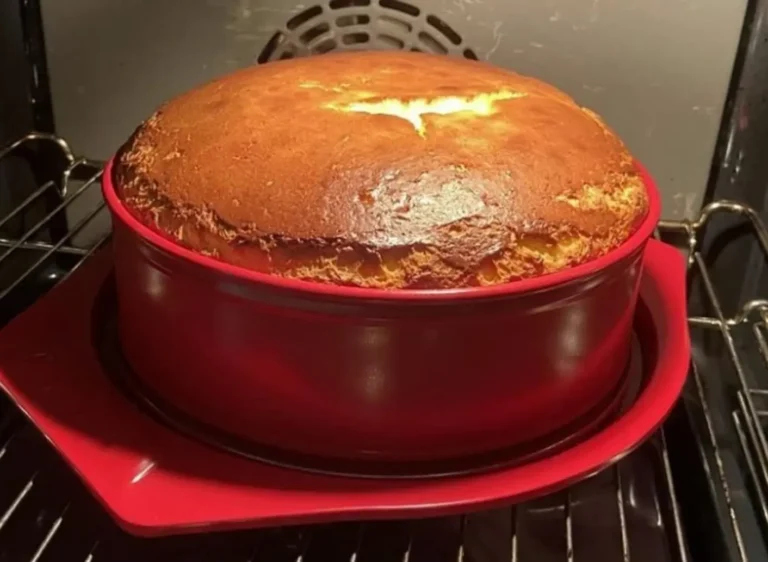 Delizioso queso pastello