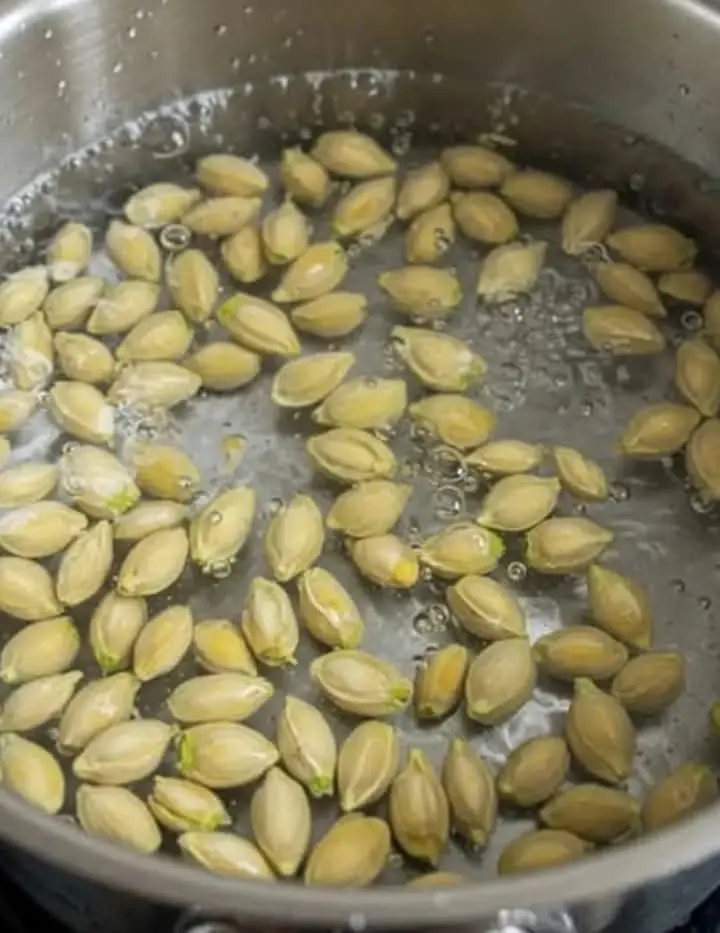 Come Far Germogliare un Limone dai Suoi Semi