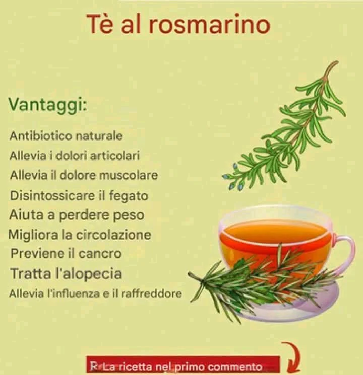 Tisana al rosmarino