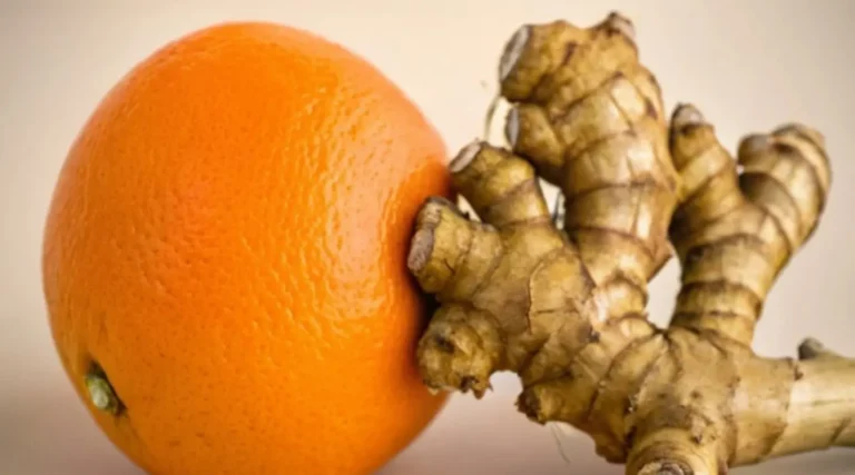 Depura naturalmente reni, fegato e polmoni per ritrovare energia e benessere