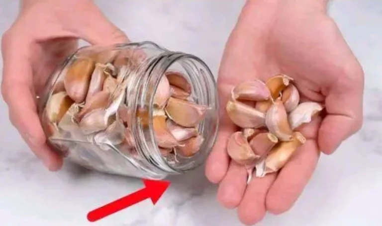 Laglio rimane fresco e intatto per un anno