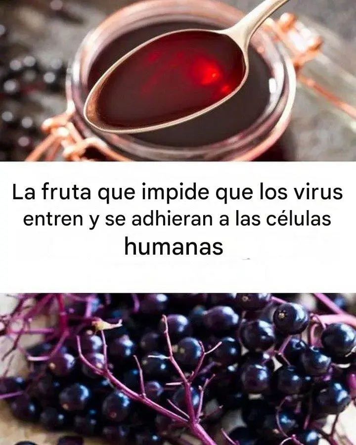 La fruta que impide que los virus entren y se adhieran a las células humanas