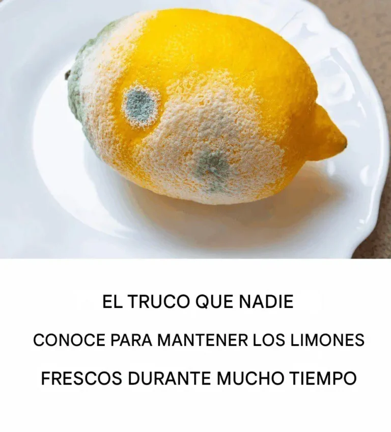 Cómo mantener los limones frescos por más tiempo y prevenir el moho