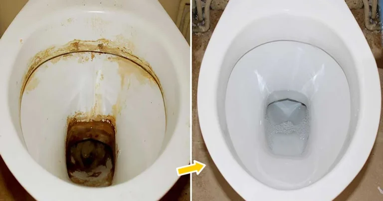 WC pulitissimo: 3 trucchi infallibili con l’aceto bianco