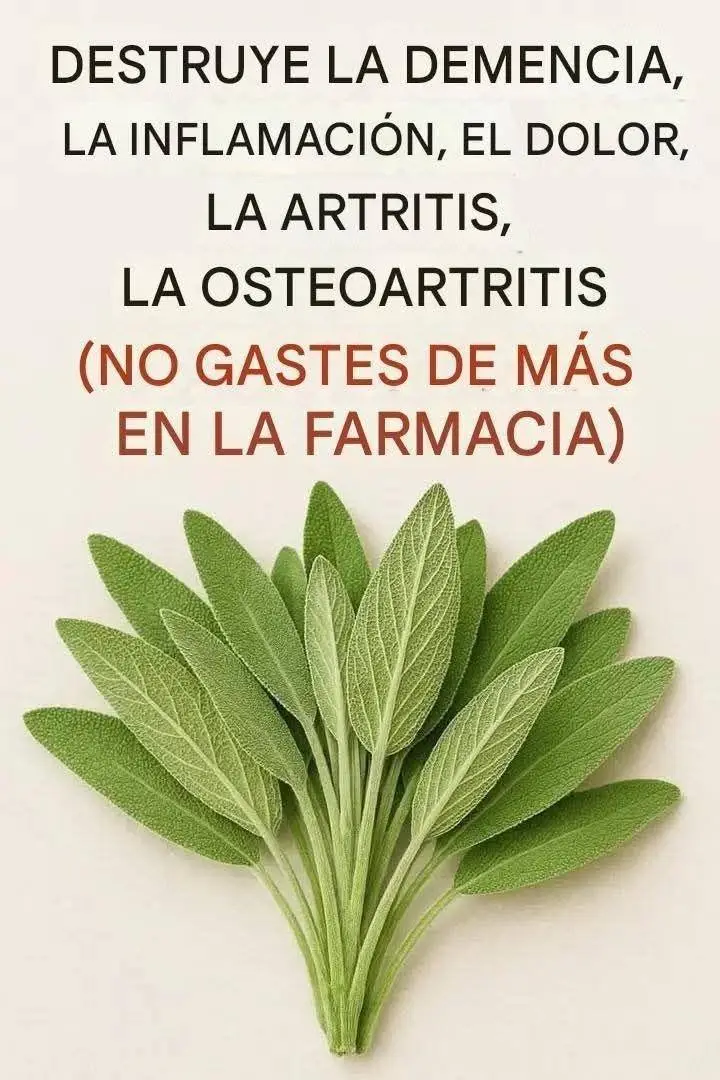 Todo lo que puedes hacer con una sola planta de salvia: todos los usos de la abuela