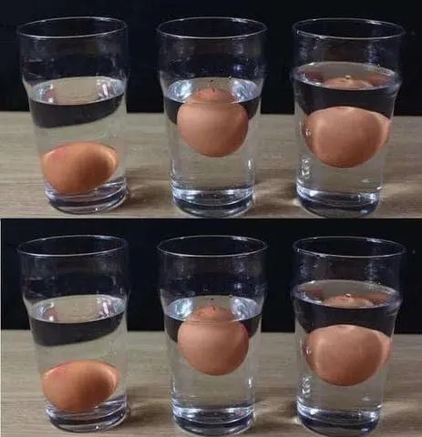 5 modi per capire se un uovo è fresco o marcio