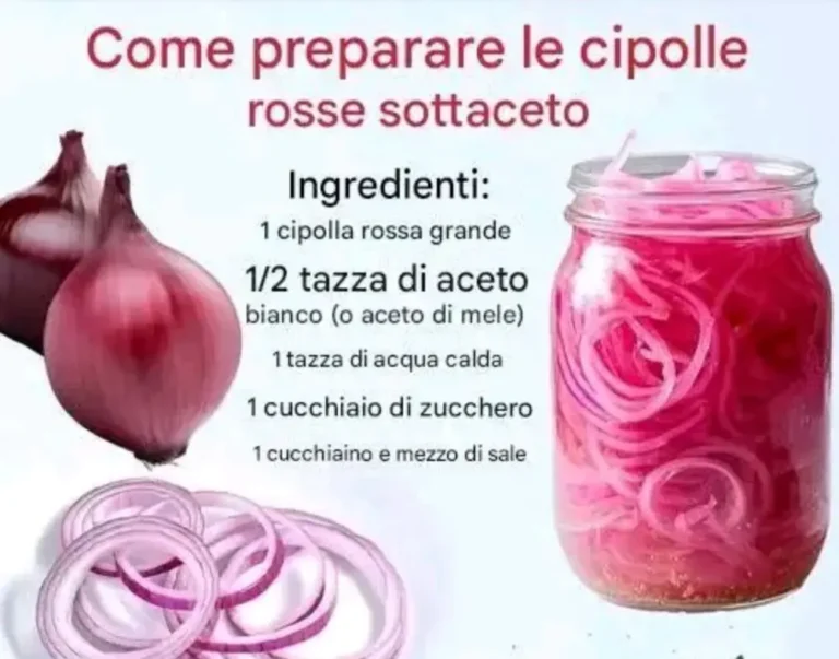 Cipolle Rosse Sottaceto Croccanti fresche e aromatiche