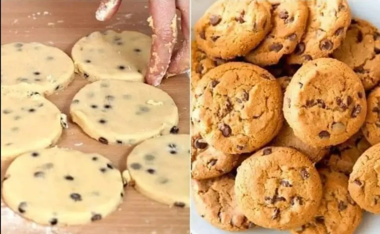 BISCOTTI FATTI IN CASA CON GOCCE DI CIOCCOLATO