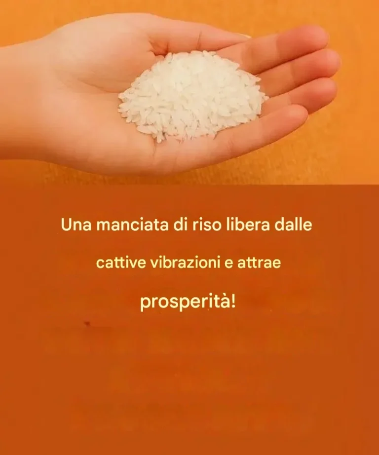 Il sorprendente potere del riso: un alleato nascosto nella tua casa