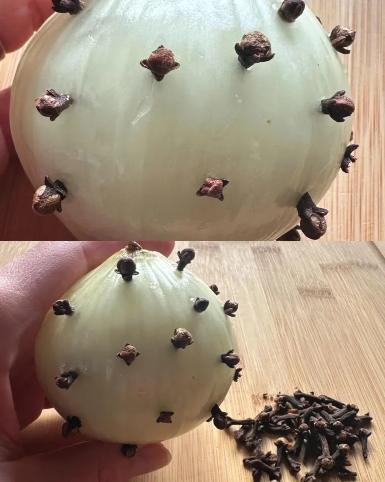 Clavo y cebolla: una tradición atemporal con beneficios modernos