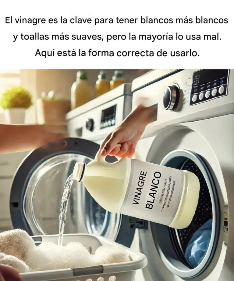 Vinagre: El secreto para una ropa más brillante y toallas más suaves (aunque mucha gente no lo usa correctamente). Esta es la forma correcta.