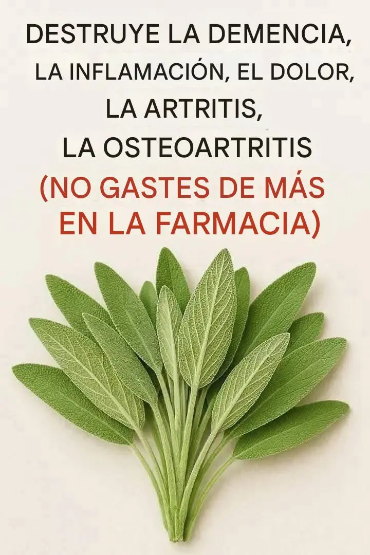 Un milagro natural para la salud cerebral, la inflamación y el dolor articular