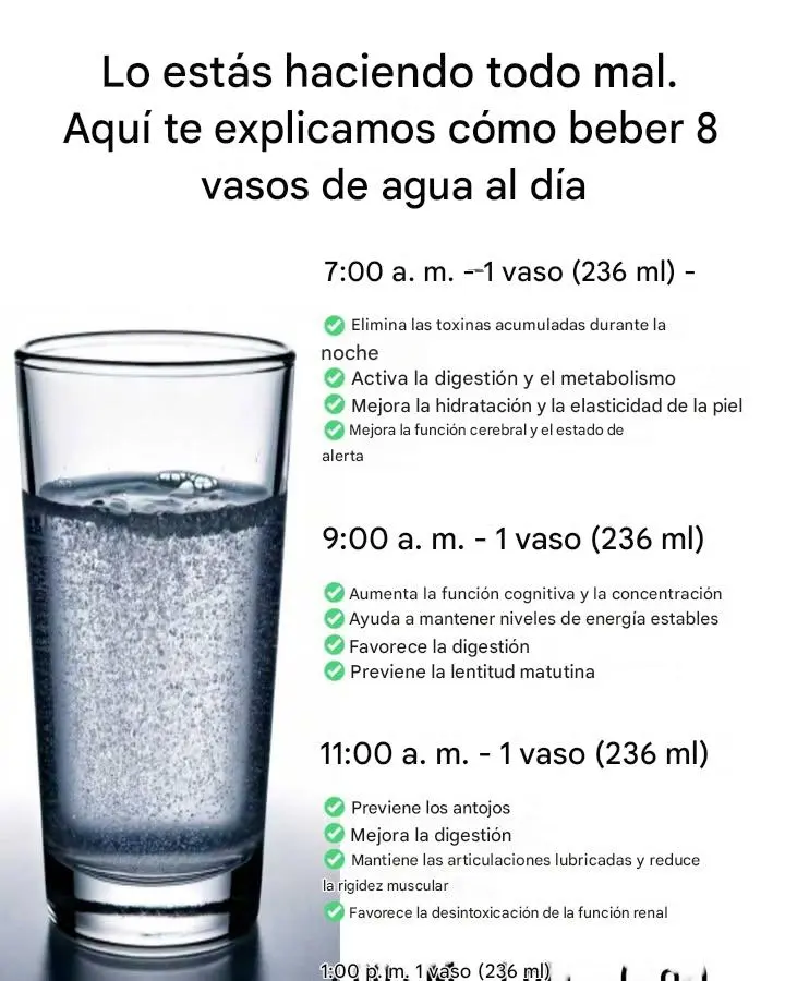 Lo estás haciendo todo mal. Aquí te explicamos cómo beber 8 vasos de agua al día.