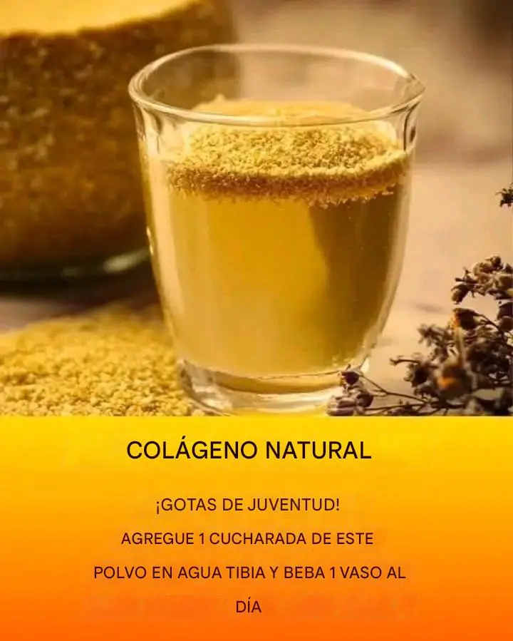 Polvo de colágeno natural para una piel radiante
