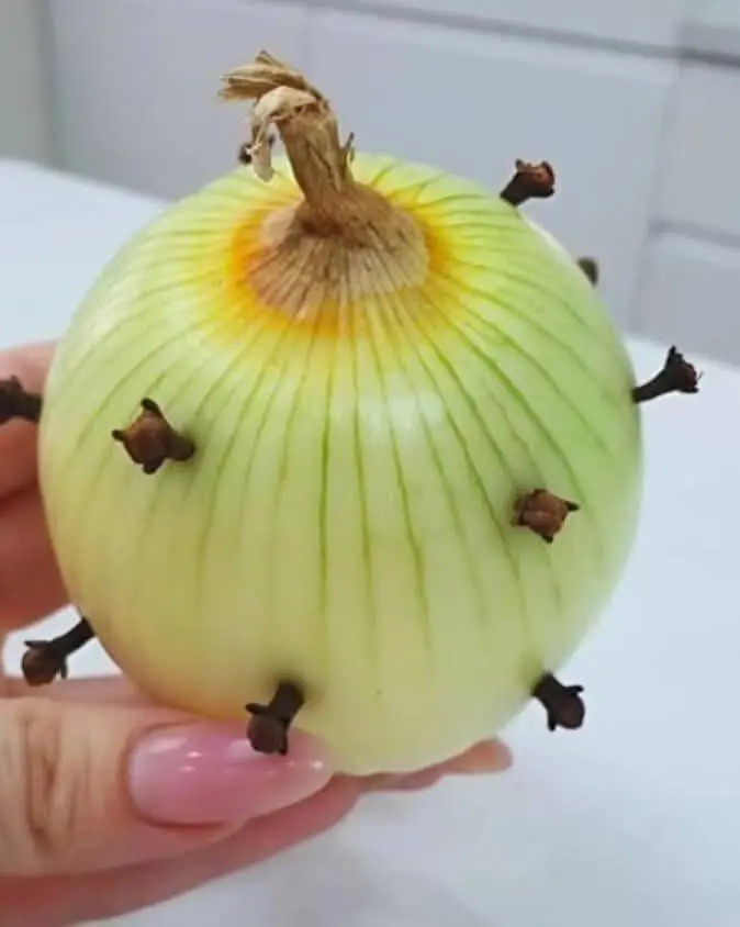 Por qué mi abuela siempre clava un clavo en la cebolla: un viejo truco sorprendente