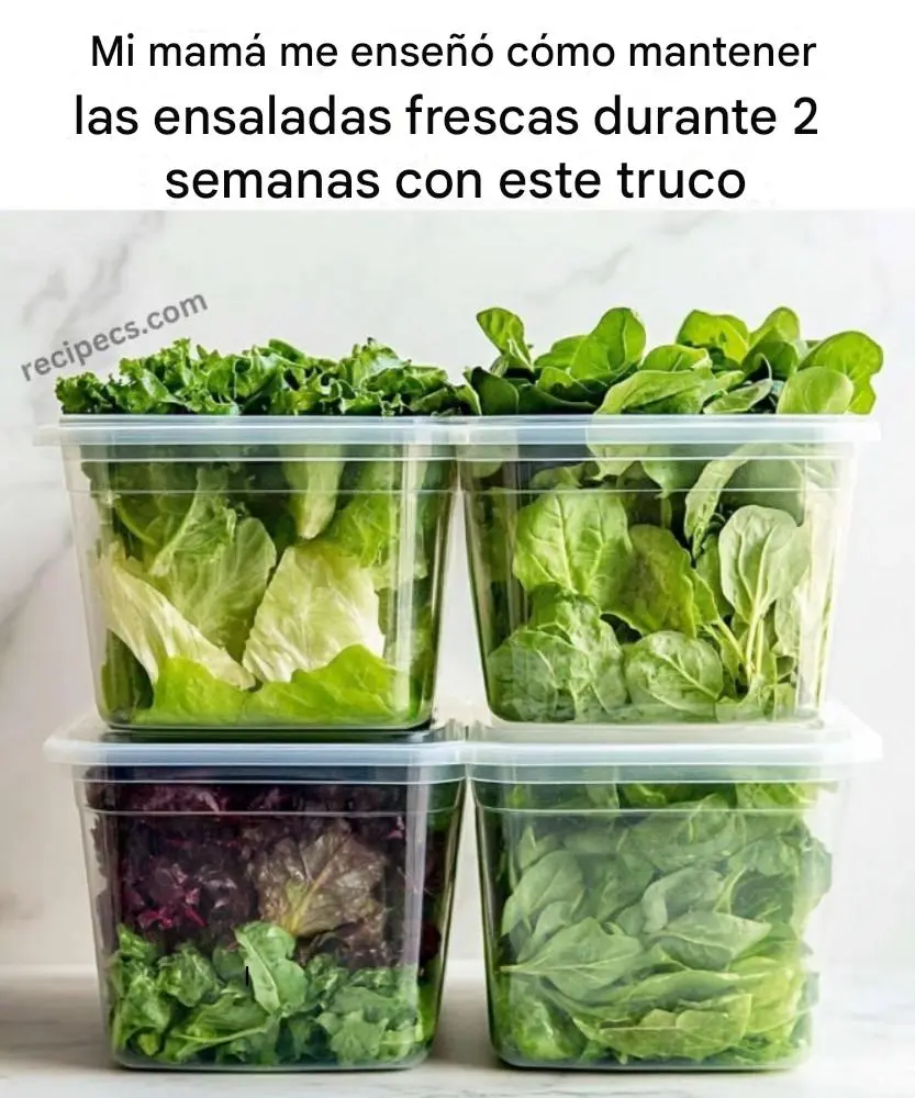 ¡Puedes prolongar la vida útil de tus ensaladas! Aquí te mostramos la mejor manera de hacerlo.