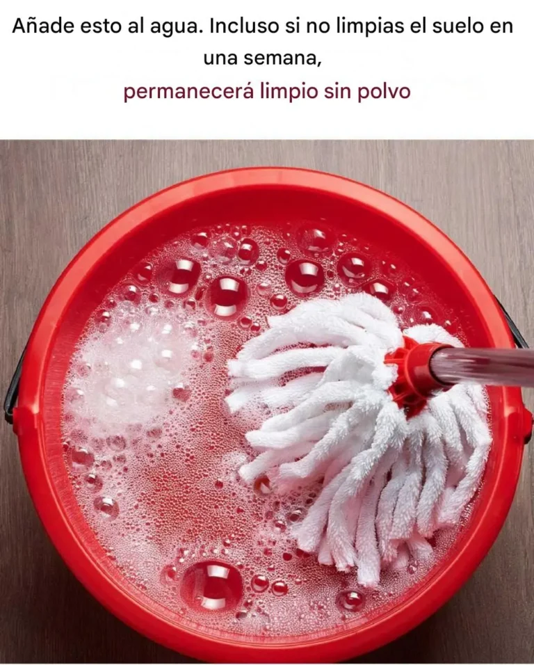 Añade esto al agua. Incluso si no limpias el piso en una semana.