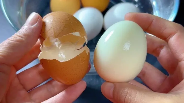 Domina el arte de cocinar huevos: Por qué deberías empezar con agua caliente